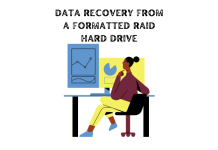 Raid Data Recovery