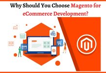 Why Should You Choose Magento for eCommerce Development