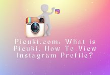 How to Use Picuki?