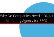 Why Do Companies Need a Digital Marketing Agency for SEO