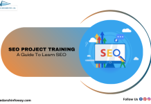 Seo Project Training